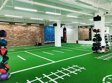 Professional Competition-Grade PVC Sports Roll