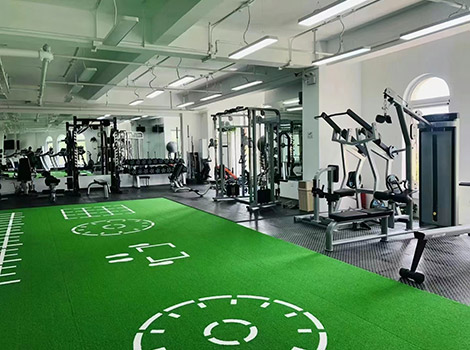 Professional Competition-Grade PVC Sports Roll