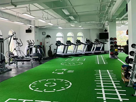 Professional Competition-Grade PVC Sports Roll