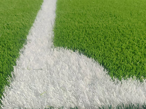 General Training-Grade PVC Sports Roll