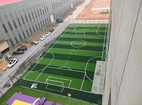 Professional Competition-Grade PVC Sports Roll