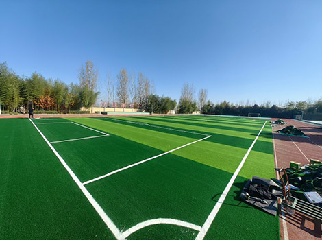 Professional Competition-Grade PVC Sports Roll