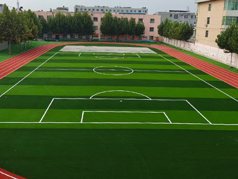 Professional Competition-Grade PVC Sports Roll