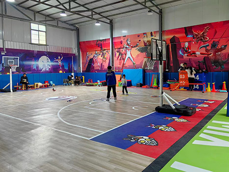 Professional Competition-Grade PVC Sports Roll