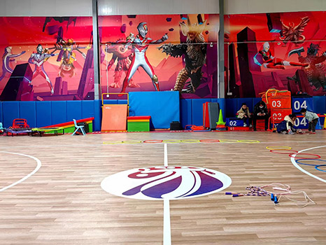 Professional Competition-Grade PVC Sports Roll