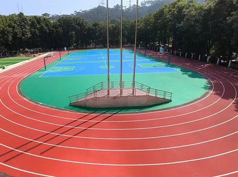 General Training-Grade PVC Sports Roll