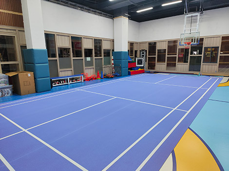 General Training-Grade PVC Sports Roll