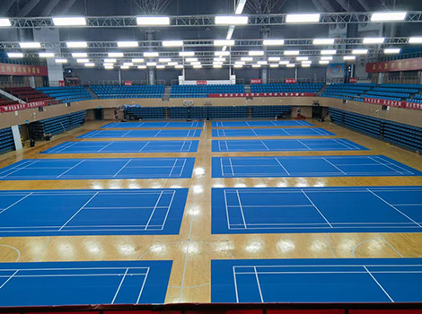 General Training-Grade PVC Sports Roll