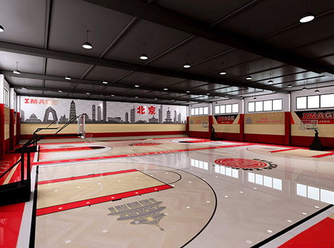 Professional Competition-Grade PVC Sports Roll