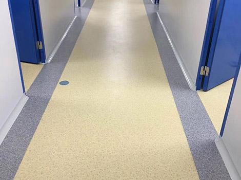 Translucent Plastic Flooring